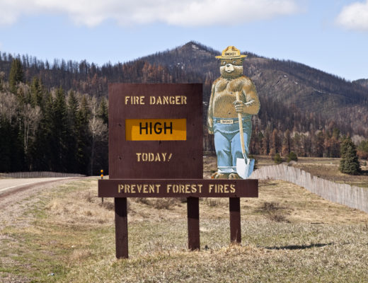 自1944年以来，斯莫基熊一直在帮助防止森林火灾。